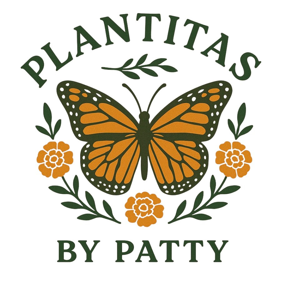 Plantitas By Patty